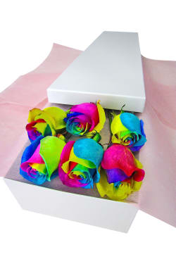 6 Elegant Rainbow Roses - 6 Roses (Half Dozen)