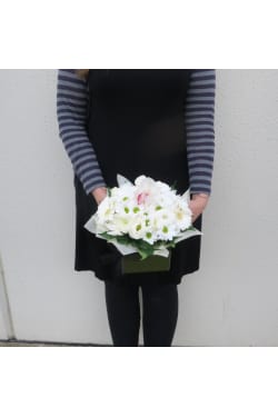 Posy Box - Standard