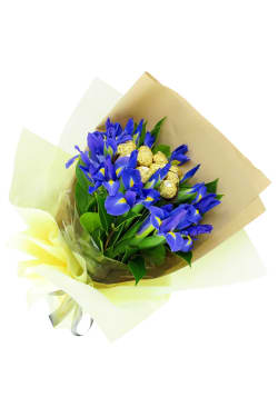 Vibrant Beauty - Standard