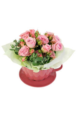 Just Delightful - Pink - Standard