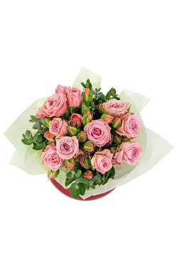 Just Delightful - Pink - Standard