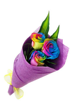 Rainbow Roses