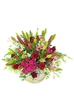 Best In Bloom - Standard