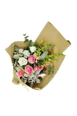 Ruffles and Romance - Standard