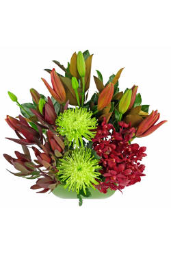 Exquisite Blooms - Standard