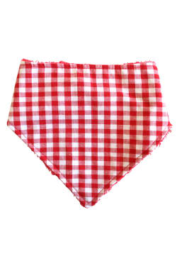 Dribble Bib - Red Gingham - Standard