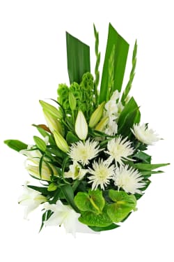 Efflorescence - Standard