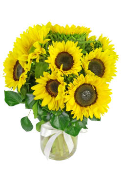 Sunflowers in a vase - Standard