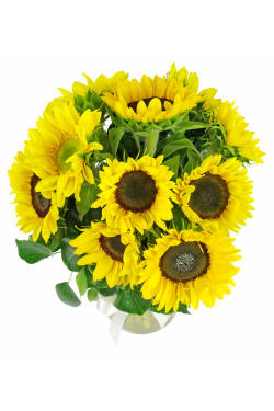Sunflowers in a vase - Standard