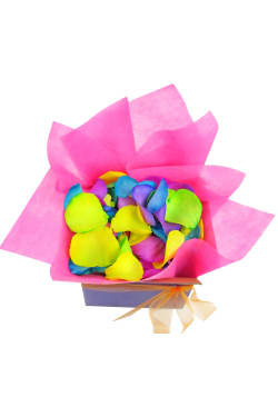 Rainbow Road Rose Petals - Standard