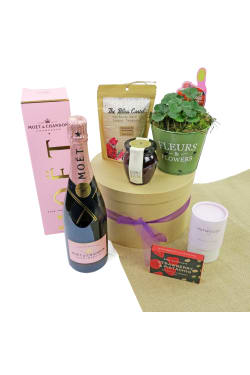 Strawberries & Champagne - Standard