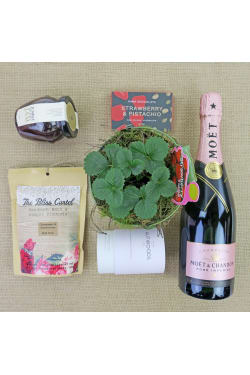 Strawberries & Champagne - Standard