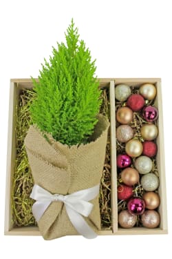DIY Christmas Tree - Standard
