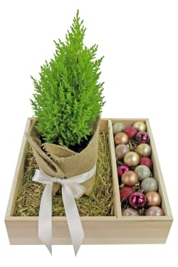 DIY Christmas Tree - Standard