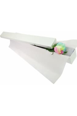 Single Unicorn Rose - Standard