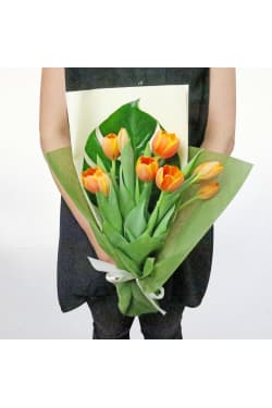 Tulip Bunch - Standard