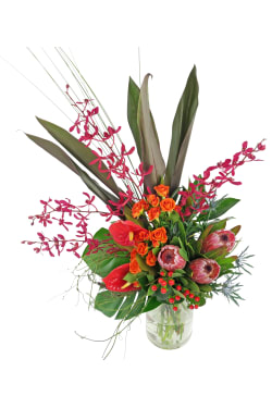Spectacle In Vase - Standard