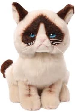 Grumpy Cat 23CM - Standard