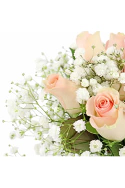 Keepsake - Soft Pink - Standard