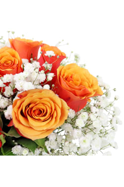 Keepsake - Orange - Standard