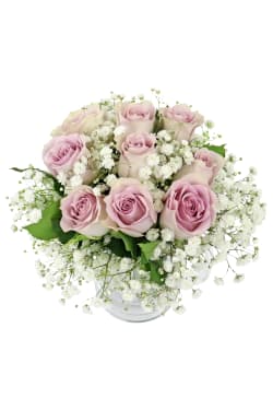 Keepsake - Mauve - Standard