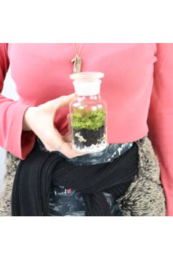 Going Green - Standard