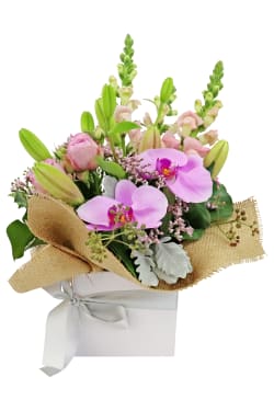 The Ballerina's Arrangement - Standard