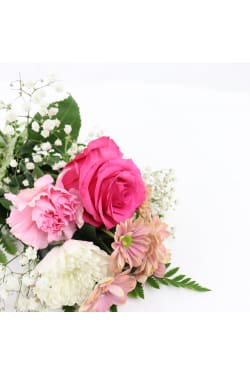 Surprise Little Flowers - Standard