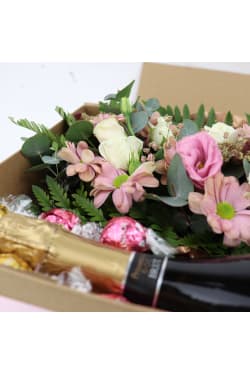 Prosecco Please - Standard
