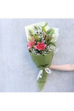 Lily Lady - Standard