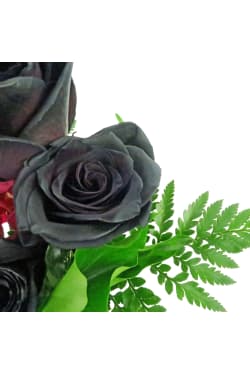 My Gothic Romance - Standard