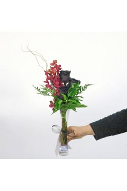 My Gothic Romance - Standard