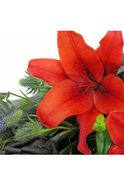Black Swan's Bouquet - Standard