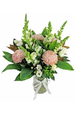 Dreaming in Blooms - Standard