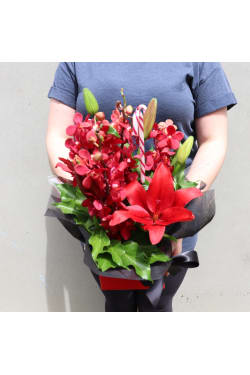 Making Christmas Magic - Red - Standard