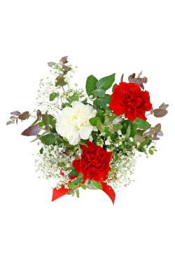 Three Xmas Blossoms - Standard