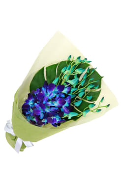 Blue Orchid Bunch - Standard