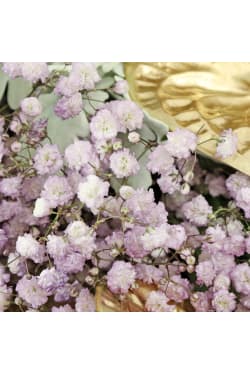 Lavender Twilight - Standard