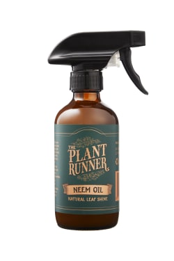 Neem Oil Leaf Shine - Standard