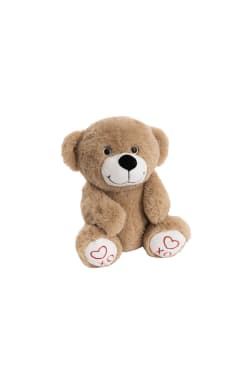 XO Paw Teddy Bear  - Standard