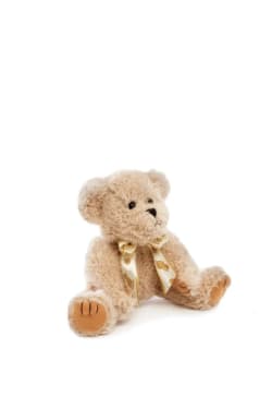 William Teddy Bear - Standard