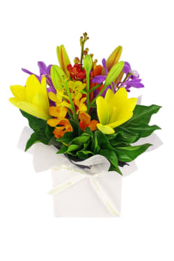 Making Magic - Mixed Brights