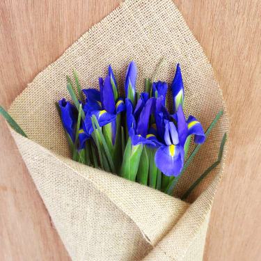 Iris Subscription - Standard