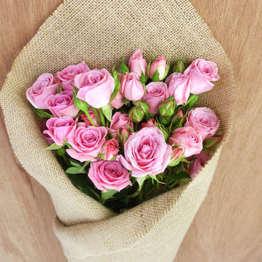 Spray Rose Subscription - Standard