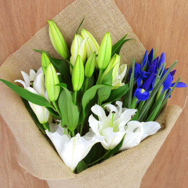 Lilies & Iris Subscription - Standard