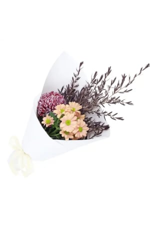 Little Peachy Fantasy