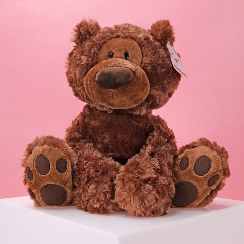 Philbin Chocolate Brown Bear - Standard 0
