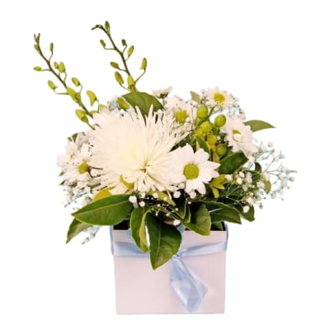 Florist Choice White Mini Box  - Standard 0