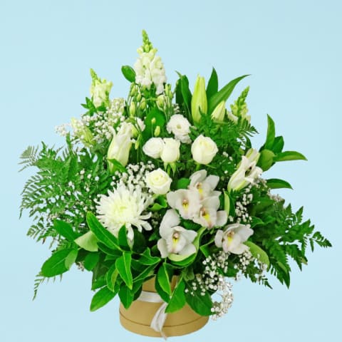 Dreaming In Snow  - Standard 0