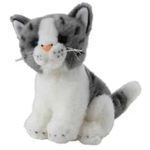 Chloe The Cat - Standard 1